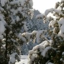 양촌리마을 이미지