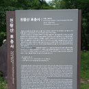 26.6.29(월) / 제목:표충사 중문 입구 고목나무 아래에 난 잡풀을 뽑는 손흥수 스승님 이미지
