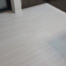 한솔(아) 이미지