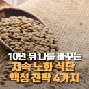 100세 시대 건강도 경영하라 | 100세 시대 건강하게 늙는 가장 쉬운 방법, 저속 노화 식단 4가지 핵심 전략