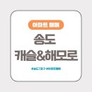 캐슬&해모로공인중개사사무소 이미지
