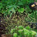 두메농장 이미지