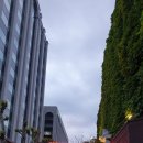 연서 로스터즈 이미지