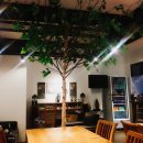 그래그래펜션 이미지