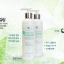 태후사랑영등
