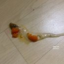 이담동물병원 이미지