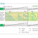 리코더 연주와 운지법 이미지