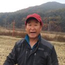 영장3리 Daum카페