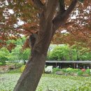 산골추어탕 - 수영구 수영로606번길 19 | 산골추어탕
