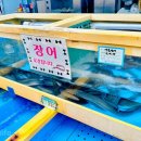 대양민물장어 네이버블로그