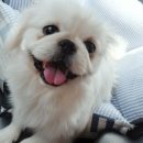 화랑유치원 이미지