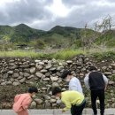 김천맑은계곡 오토캠핑장 이미지