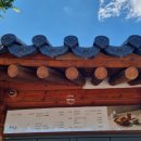 카페화담 | 경기도 수국명소 '경기도 광주 곤지암 화담숲' 수국 꽃구경 가볼 만한 곳 +내돈내산 화담숲 카페 간단 후기
