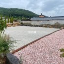 스테이 선광 이미지