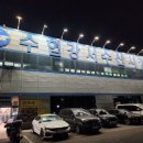[내돈내산]강서수산물도매시장 삐뚤이소라 비단멍게 해산물 맛집 남도수산B04 구매 후기