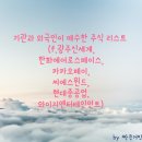 스페이스 와이지 이미지