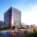 블루아라 이미지