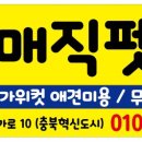매직 펫 살롱 이미지