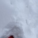 파니퍼니홈 이미지