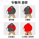 황지중앙초등학교 | 난춘(亂春)