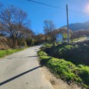 초원 | 춘천 해피초원목장 후기 토끼·양 먹이체험부터 호수뷰 포토존까지!!