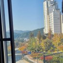 메밀꽃 필 무렵 | 세종 한솔동 한우 막국수 맛집! &#39;세종메밀꽃필무렵 암소숙성한우&#39; 찐 후기