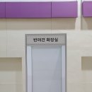 2019 월드 렙타일 페스타 후기!