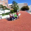 바람고개길 이미지