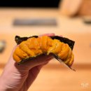 석 천 | 도쿄 롯폰기 신상 스시 오마카세 가성비 맛집 "The Sushi Ryouken 더 스시 료켄" 내돈내산 추천 후기