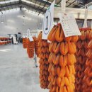 김종선농장 이미지