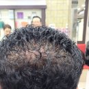 쟈르헤어 - 미추홀구 | 쟈르헤어