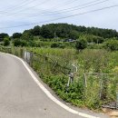 335부동산공인중개사사무소 이미지