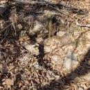 옹달샘약수터 이미지