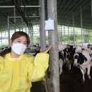 (유)가스온 이미지