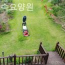 숲속요양원