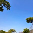 그리녹