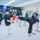 TX50 태권도 이미지