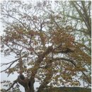 문충초등학교 이미지