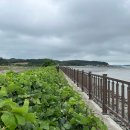 만대편의점 이미지