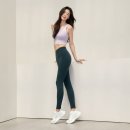 시그니처지니