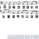 꽃들도