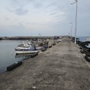 낚시와사람 | 심해갑오징어 낚시 제주 까망호 배낚시 후기