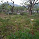 봉오리농장 이미지