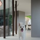 빌라누트 | 빌라누트 경기도 펜션, 이곳에서만 누릴 수 있는 특별한 경험이 있어요