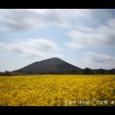 제주하늘바람 이미지