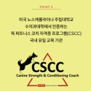 버프독 | 버프독 강아지 피트니스 | 버프짐 수업기록_체험수업