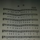 영양초등학교 이미지