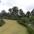 야자수정원 이미지