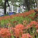 선암호수공원축구장(주말) 이미지