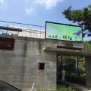 대담국수
